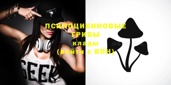 трава Горно-Алтайск