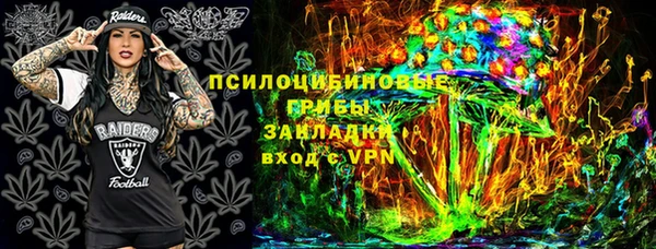 дмт Горнозаводск