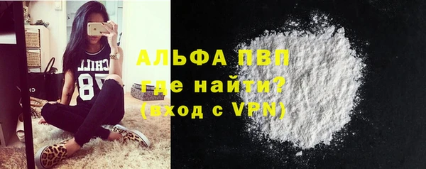 стаф Вязьма
