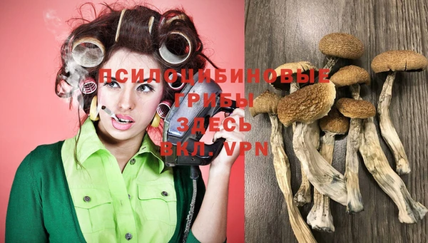 дмт Горнозаводск